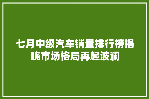 七月中级汽车销量排行榜揭晓市场格局再起波澜