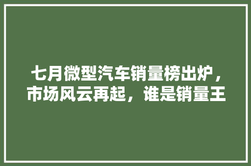 七月微型汽车销量榜出炉，市场风云再起，谁是销量王者