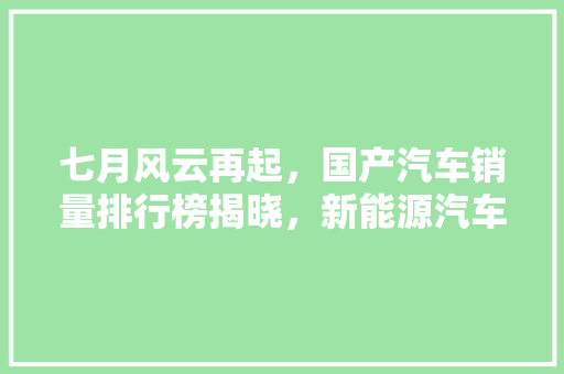 七月风云再起，国产汽车销量排行榜揭晓，新能源汽车异军突起！