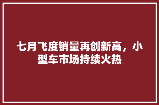七月飞度销量再创新高，小型车市场持续火热