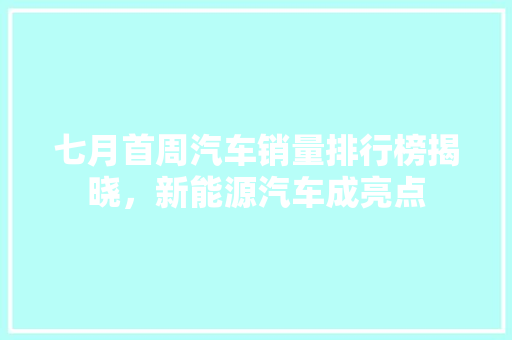 七月首周汽车销量排行榜揭晓，新能源汽车成亮点