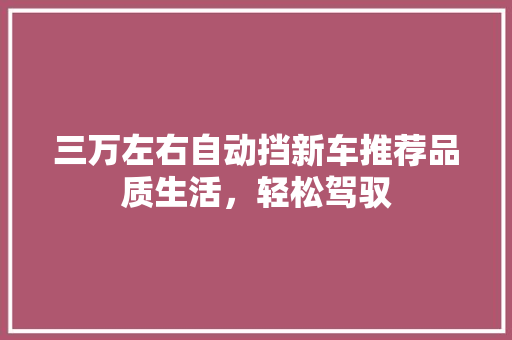 三万左右自动挡新车推荐品质生活，轻松驾驭
