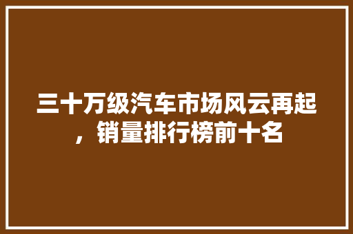 三十万级汽车市场风云再起，销量排行榜前十名