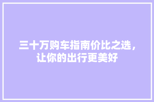 三十万购车指南价比之选，让你的出行更美好
