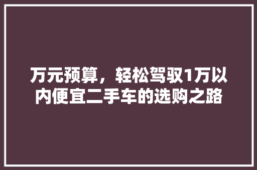 万元预算，轻松驾驭1万以内便宜二手车的选购之路