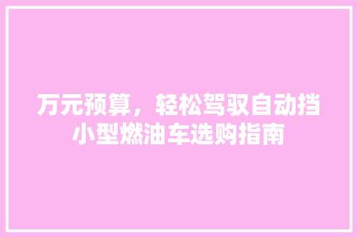 万元预算，轻松驾驭自动挡小型燃油车选购指南