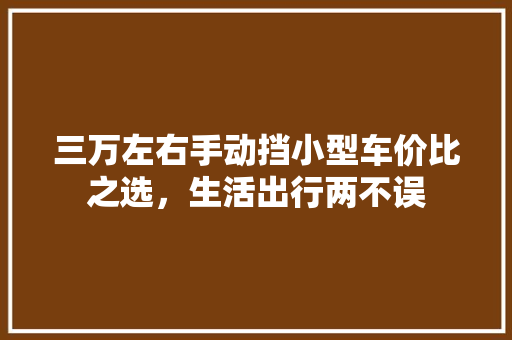 三万左右手动挡小型车价比之选，生活出行两不误