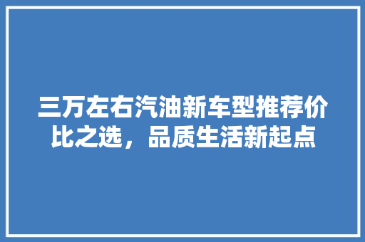 三万左右汽油新车型推荐价比之选，品质生活新起点