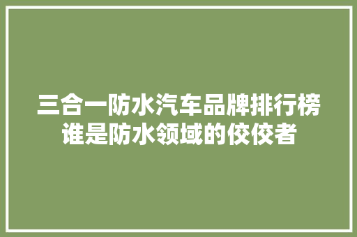 三合一防水汽车品牌排行榜谁是防水领域的佼佼者