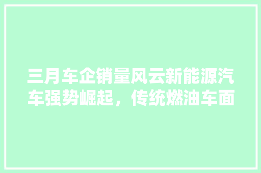 三月车企销量风云新能源汽车强势崛起，传统燃油车面临挑战