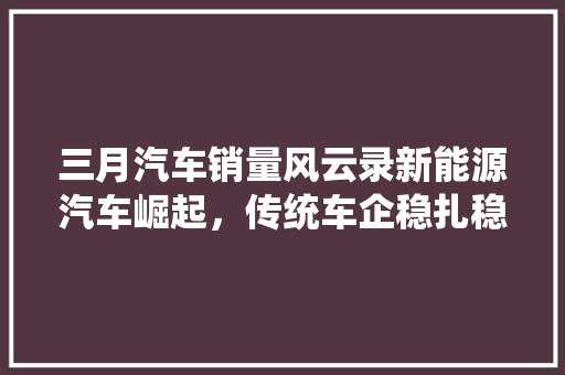 三月汽车销量风云录新能源汽车崛起，传统车企稳扎稳打