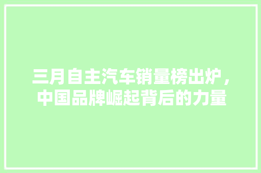 三月自主汽车销量榜出炉，中国品牌崛起背后的力量