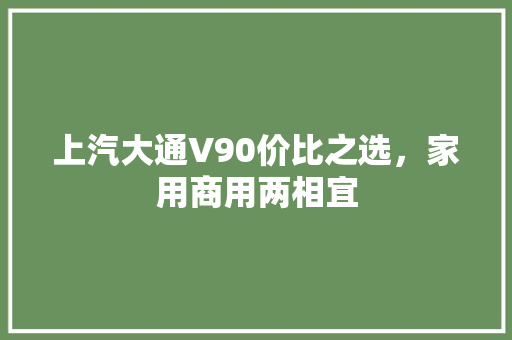 上汽大通V90价比之选，家用商用两相宜