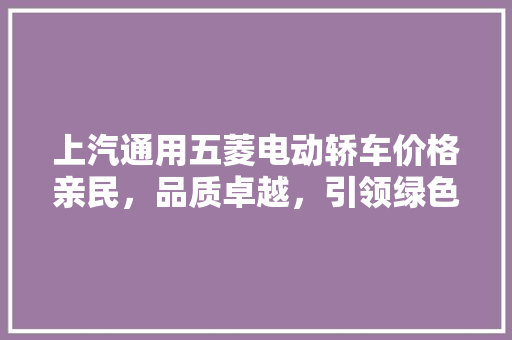 上汽通用五菱电动轿车价格亲民，品质卓越，引领绿色出行新潮流