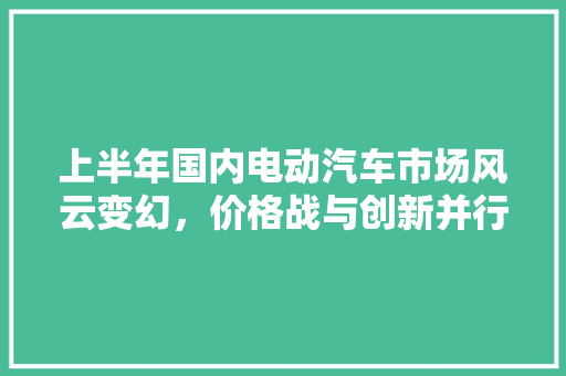 上半年国内电动汽车市场风云变幻，价格战与创新并行