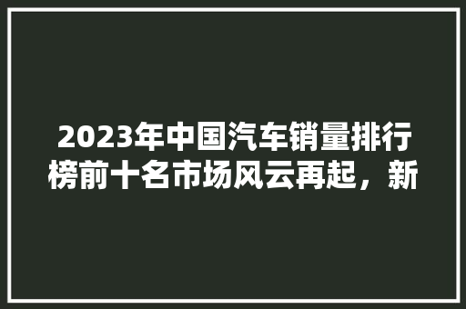 2023年中国汽车销量排行榜前十名市场风云再起，新势力崛起