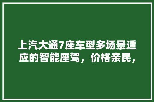 上汽大通7座车型多场景适应的智能座驾，价格亲民，品质卓越