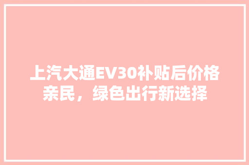 上汽大通EV30补贴后价格亲民，绿色出行新选择