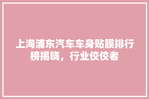上海浦东汽车车身贴膜排行榜揭晓，行业佼佼者