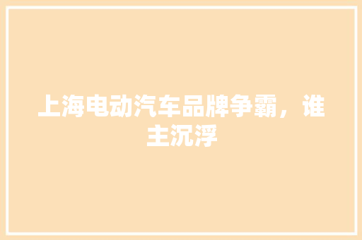 上海电动汽车品牌争霸，谁主沉浮
