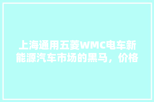 上海通用五菱WMC电车新能源汽车市场的黑马，价格亲民、能卓越