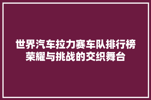 世界汽车拉力赛车队排行榜荣耀与挑战的交织舞台