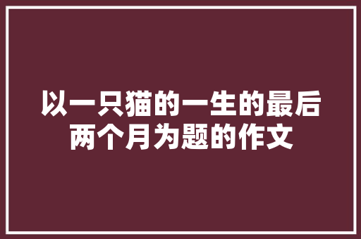 两厢汽车市场风云再起，前十名品牌盘点
