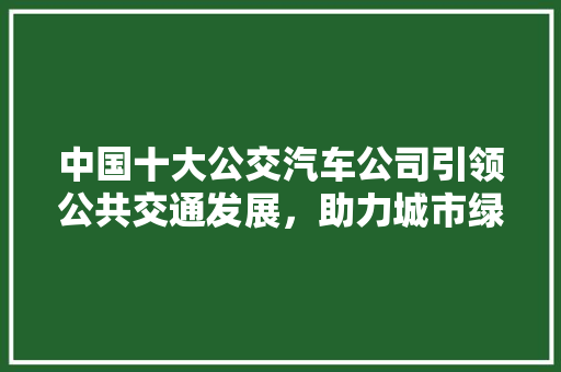 中国十大公交汽车公司引领公共交通发展，助力城市绿色出行