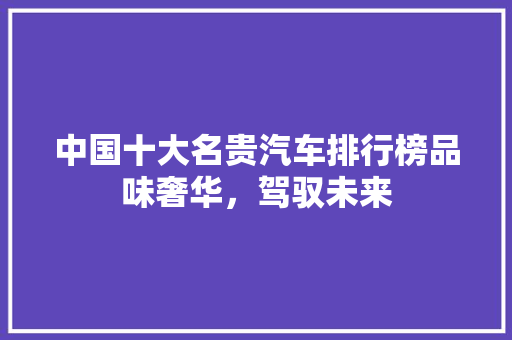 中国十大名贵汽车排行榜品味奢华，驾驭未来