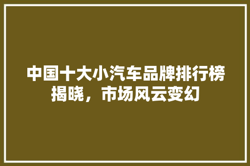 中国十大小汽车品牌排行榜揭晓，市场风云变幻