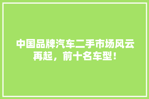 中国品牌汽车二手市场风云再起，前十名车型！
