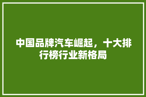 中国品牌汽车崛起，十大排行榜行业新格局
