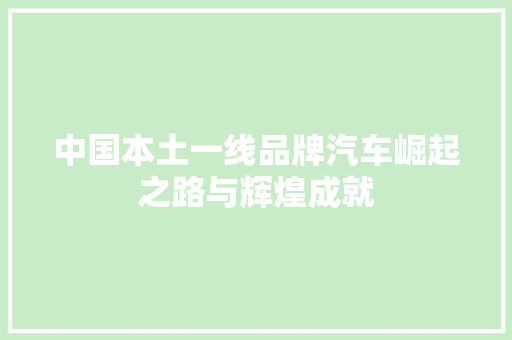 中国本土一线品牌汽车崛起之路与辉煌成就
