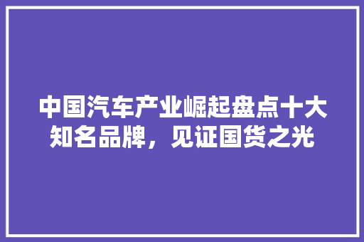 中国汽车产业崛起盘点十大知名品牌，见证国货之光