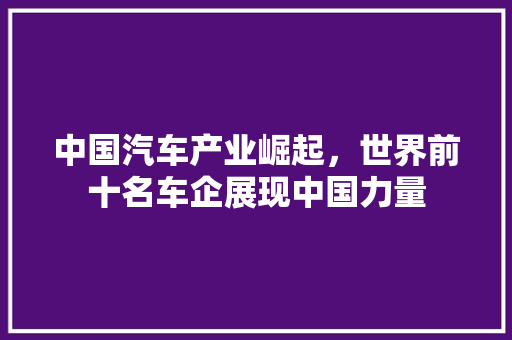 中国汽车产业崛起，世界前十名车企展现中国力量