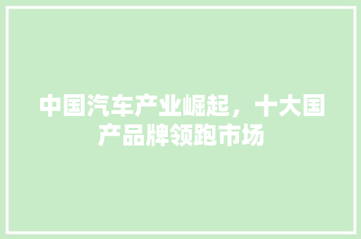 中国汽车产业崛起，十大国产品牌领跑市场