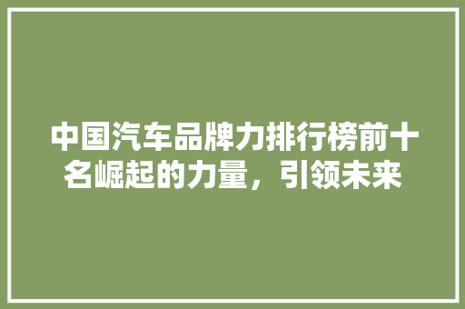 中国汽车品牌力排行榜前十名崛起的力量，引领未来