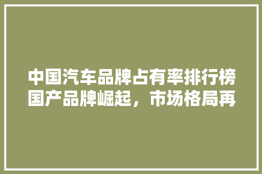 中国汽车品牌占有率排行榜国产品牌崛起，市场格局再洗牌