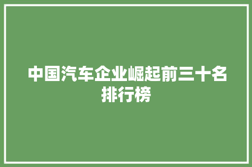 中国汽车企业崛起前三十名排行榜
