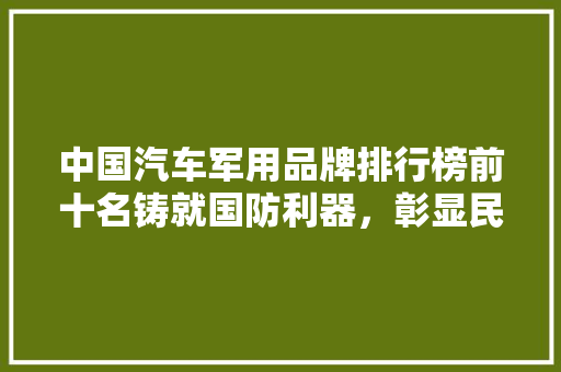 中国汽车军用品牌排行榜前十名铸就国防利器，彰显民族实力