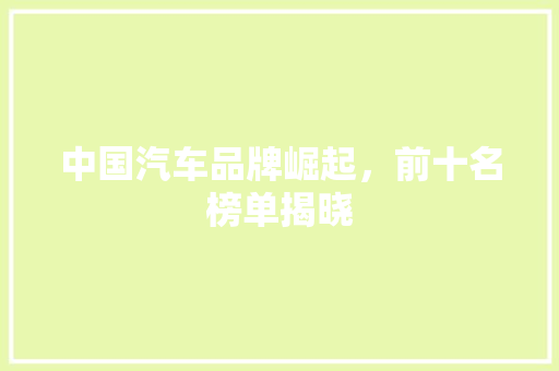 中国汽车品牌崛起，前十名榜单揭晓