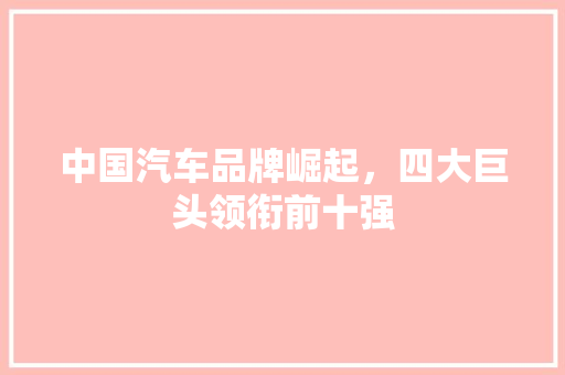 中国汽车品牌崛起，四大巨头领衔前十强