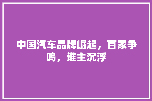 中国汽车品牌崛起，百家争鸣，谁主沉浮