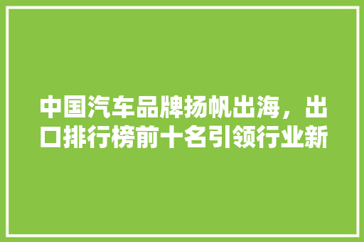 中国汽车品牌扬帆出海，出口排行榜前十名引领行业新风向