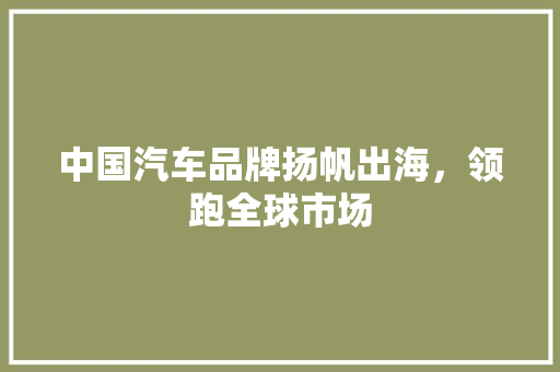 中国汽车品牌扬帆出海，领跑全球市场