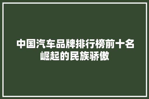 中国汽车品牌排行榜前十名崛起的民族骄傲