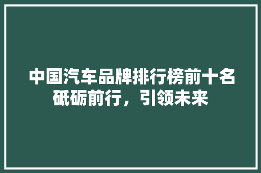 中国汽车品牌排行榜前十名砥砺前行，引领未来