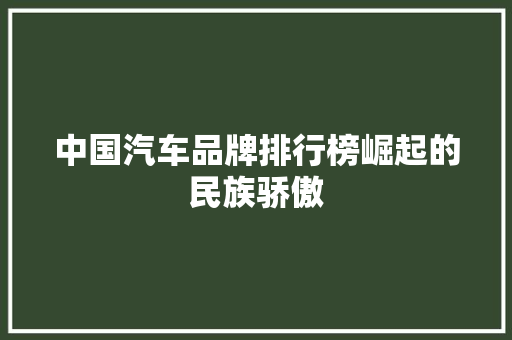 中国汽车品牌排行榜崛起的民族骄傲