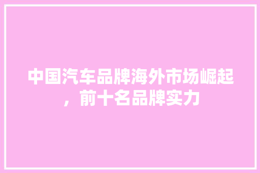 中国汽车品牌海外市场崛起，前十名品牌实力