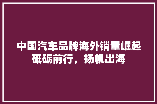 中国汽车品牌海外销量崛起砥砺前行，扬帆出海